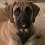 Dsett61 - @settlesdouglas - Instagram