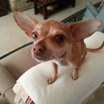 Douglas Sipes - @douglassipesyuman - Instagram