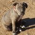 Douglas Skaggs - Facebook
