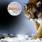 Douglas SL™ - @douglasslyoba - Instagram