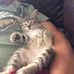 Douglas Stam - Facebook