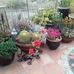 Doug Stapleton - Facebook