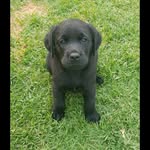 Doug Stapleton - @black_douglas19 - Instagram