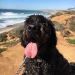 Douglas Stead - @shodansan - Instagram