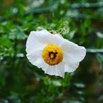 Douglas Steiner - @eccho.gram.gram - Instagram
