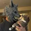 Stephan Douglas - @stephan.douglas0 - TikTok