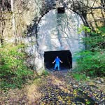Douglas Stillman - @douglas.stillman - Instagram