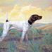 Douglas Stocks - Facebook