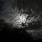 Douglas Stockwell - Facebook