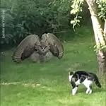Douglas Stott - @douglas.stott.77 - Instagram