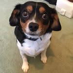 Douglas Stout - @douglas_stout - Instagram