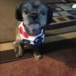 Douglas Stowell - @douglasstowell - Instagram