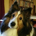 Douglas Strack - @dougstrack - Instagram