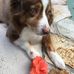 Douglas Straka - Facebook