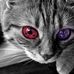 Douglas Strange - Facebook