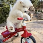 Douglas Stratton - @douglasstratton66839 - Instagram