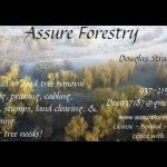 Owner: Douglas Stratton - @assure_forestry - Instagram