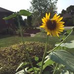 Douglas Stull - @doug_stull - Instagram