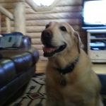 Darby - @darby_douglas_terrill - Instagram