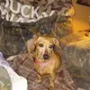 Douglas Thacker - @douglas.thacker - TikTok