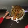 pawnee - @dougtilden - TikTok