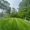 Douglas Hernadez - @douglas.tirone - TikTok