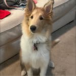 Mimi Douglas True - @mdtrue - Instagram