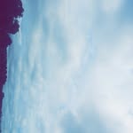 Douglas Tucker II - @douglastuckerii - Instagram