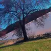 Douglas Tyler - @douglastyler70 - TikTok
