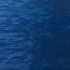 douglastyler847 - @douglastyler847 - TikTok