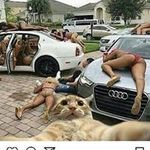Unruly Douglas - @upton.douglas.9 - Instagram