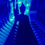 Douglas Vegas - @douglasvegas - Instagram
