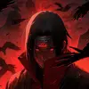 douglasvolk7 - @douglas.volk - TikTok