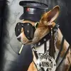 Douglas Wade - @douglas.wade6 - TikTok