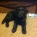 Douglas Wardle - Facebook
