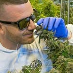 Douglas weed farm - @douglasweedfarm - Instagram