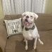 Doug Wiggins - Facebook