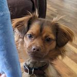 Douglas Wiggins - @jacksonanddoug - Instagram