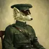 D - @douglas_wind - TikTok