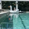 Wing Yee - @douglas.wing - TikTok