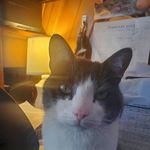 Douglas Witham - @douglaswitham - Instagram