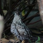Douglas wren - @dougs_photography_ - Instagram