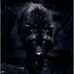 Douglas Wolf - Facebook
