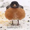 Doug Wunderlich - @doug.wunderlich - TikTok