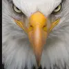 Douglas Zelaya - @douglas.zelaya74 - TikTok