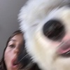 Dougy - @dougythesheepadoodle - TikTok