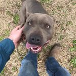 Dylan Michael Wallace - @that_white_kid_down_the_road - Instagram