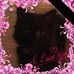 Dolly Brindley - Facebook