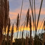 Doyle Carpenter - @magnumdakota - Instagram