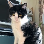 Doyle Cook - @doyle.cook - Instagram